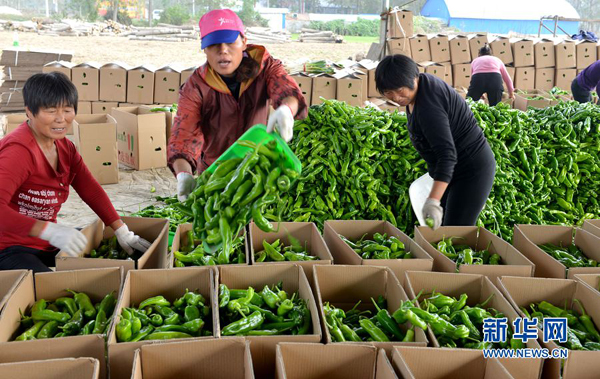 河南夏邑:推进产业扶贫 实现精准带动