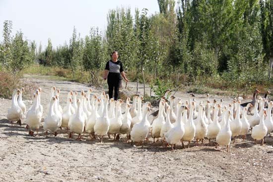 ½ŵڶʦʮְֳ괿볬ʮԪ