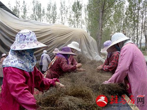 ϣ׻ֳ߲ҵ ظŮſھҵ