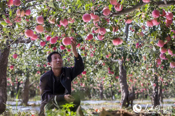 ɽƽ½25Ķƻϲ ɫ԰Ʈ