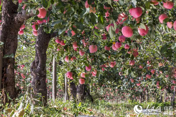 ɽƽ½25Ķƻϲ ɫ԰Ʈ