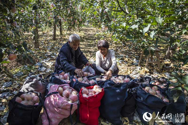 ɽƽ½25Ķƻϲ ɫ԰Ʈ