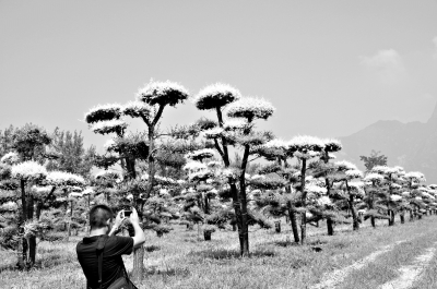 京冀联手打造“北京印象”
