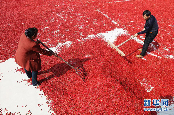 1019գɽʡƽ½򣬵ũɹ콷