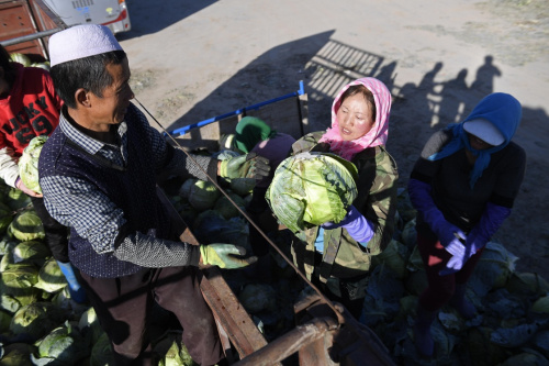 ؽ̨Сֲ߲磬ũڽ߲װۣ1017㣩