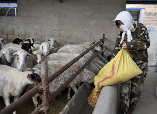 ؽ̨磬ڷ紴ҵ괴ı̬ũҵ޹˾ֳι1017㣩