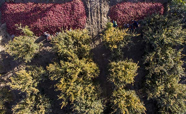 1018գ½زڿֹҵũרҵũջʯзࡣ