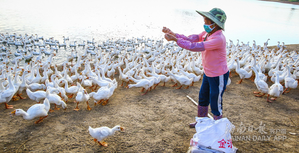 ڶ׶ѴίͬŴ壬ũڳȺ족