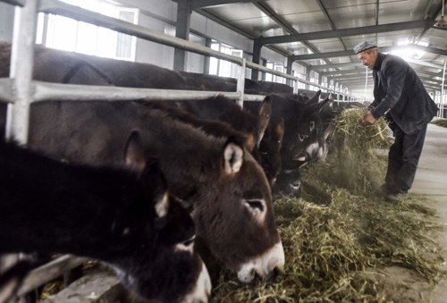 1022գڰؾ׼ƶũҵƼҵʾڣ³˴˹˾Ͽιë¿