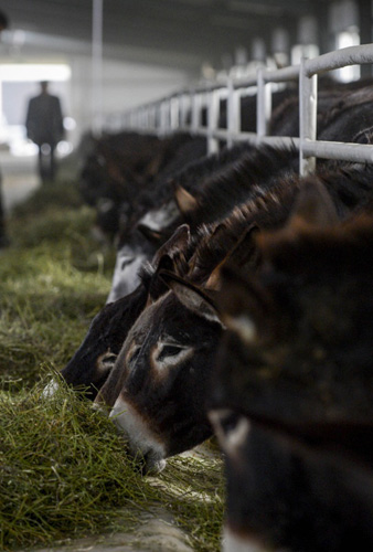 1022գؾ׼ƶũҵƼҵʾë¿ڳԲϡ