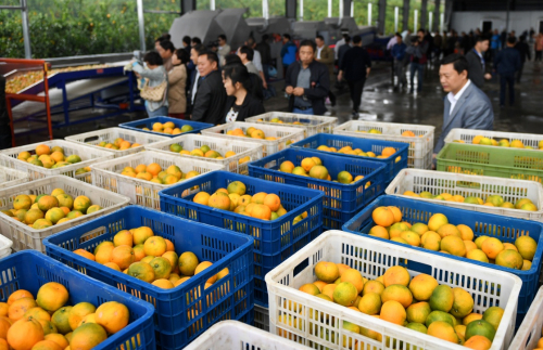 1021գڵʶ̽ۻղժĸ̽۱зã׼зѡװ