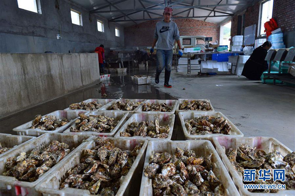 1021գɽһĵֳԱڹ鼯ϴõĵá