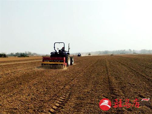 ����פ���꣺�����ѹ�� �󲥷���æ