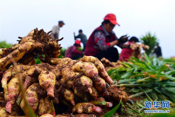 1021գɽ缫ڼջ󽪡