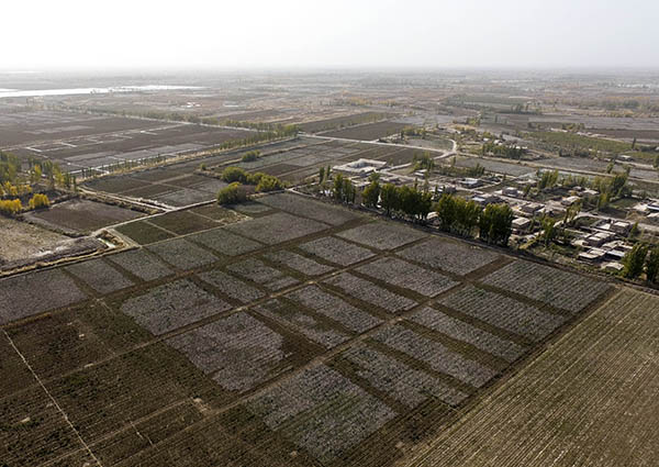 ½طһ޻ժӽβ1024㣩