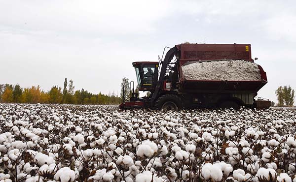 ½һһ޻ڹ1023㣩