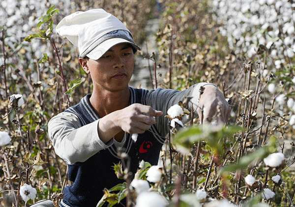 ½طһĳ¿άڲժޣ1024㣩