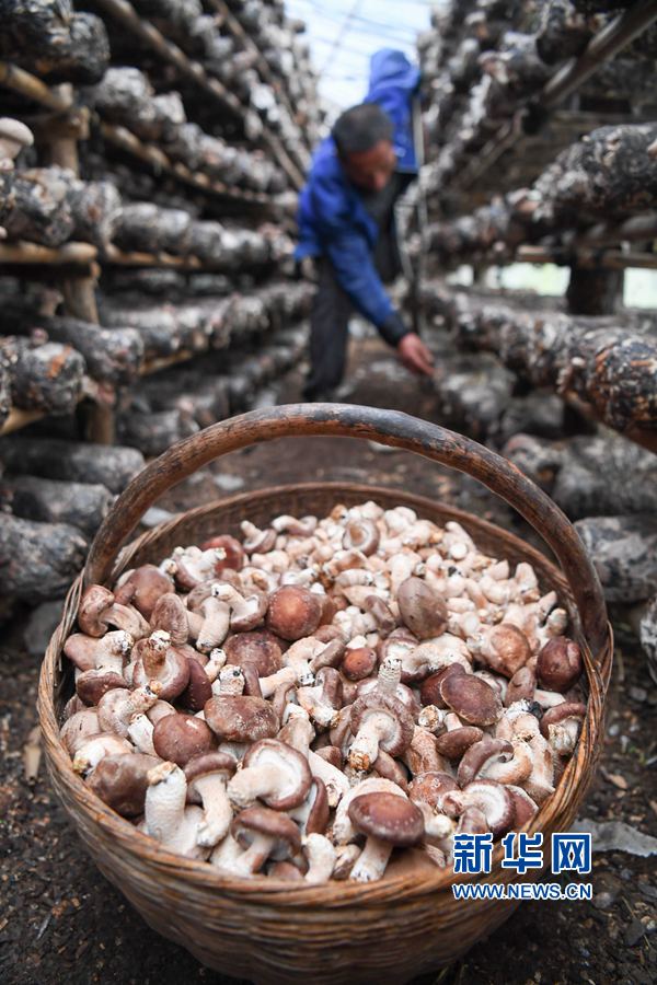 1026գʡ¬Ҥ۹ũ㹽ڲ㹽