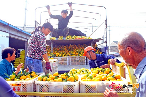 Õã½Äþº££º5ÍòÓà͏ÌéÙ·áÊÕ