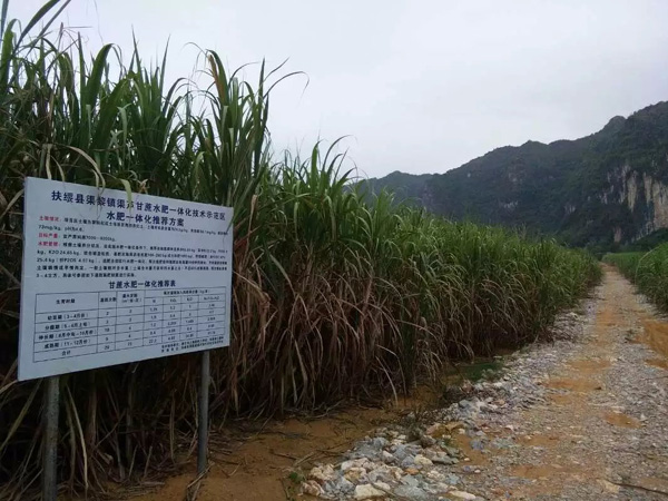 ƹӦøˮһ廯 ƽȫлʹж