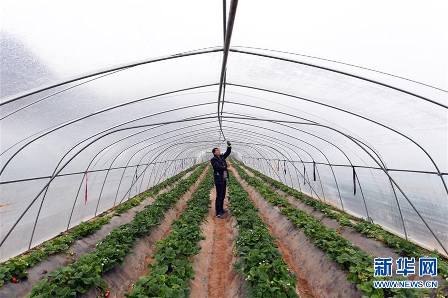 1027գμԴ·԰壬ũڲݮдů֧ܡ