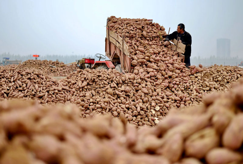 1027գӱʡºũںչж˺