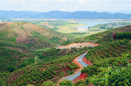 广西百色澄碧湖库区:鱼儿肥美 果蔬飘香