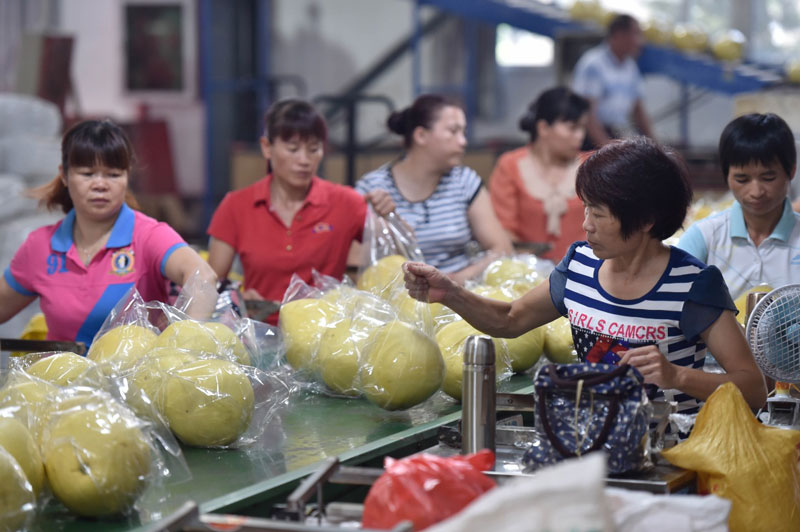 1027գڸʡƽһּӹڰװ֡