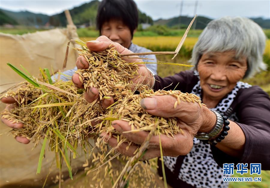 1029գ˳Ŷմ70Ĵղңһֹոˮ