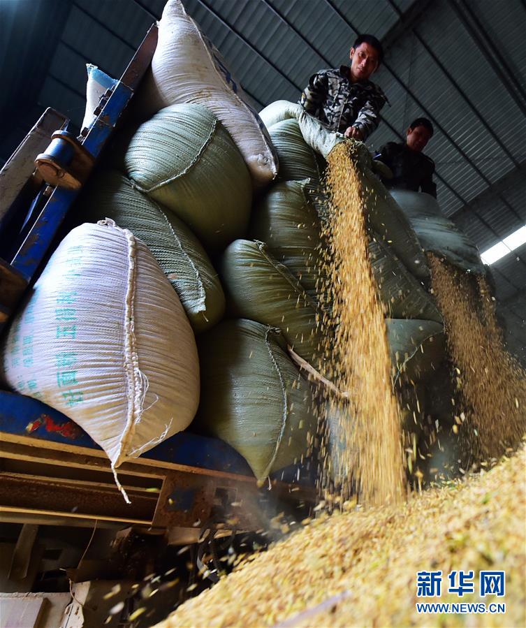 1029գ˳ؽʳũרҵ磬ũ׼ɵȡ