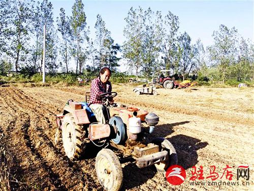 磬˪٣¶ʱ£ƽ؍ɽ򿴵ִʼֶС