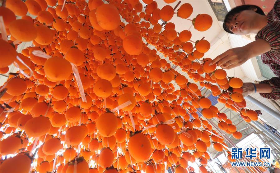 1029գʡƽزܴ̫״ɹյӡ