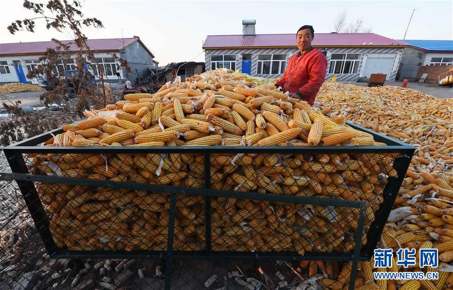 ںʡضвƽ壬ũǶԼҵġѧ֡ף1031㣩