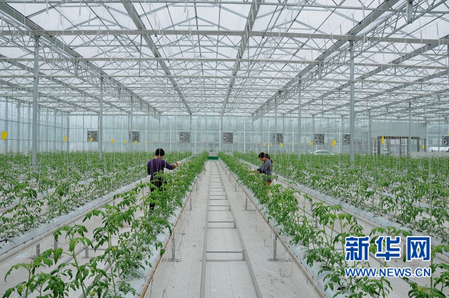 1029գڻũҵƼ԰ڵĹڹ߲ˡ