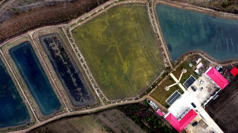 111ĻʯӺˮֳأûط8ƶͥբз120ĶÿĶ8000Ԫϡ