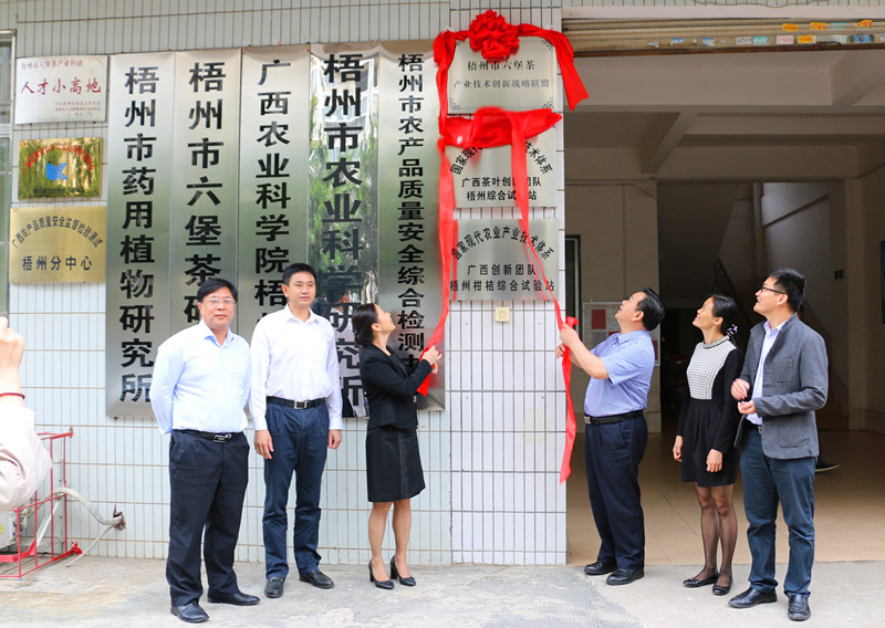 广西梧州六堡茶产业跨入“英雄联盟”时代