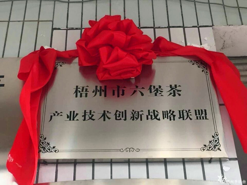 广西梧州六堡茶产业跨入“英雄联盟”时代
