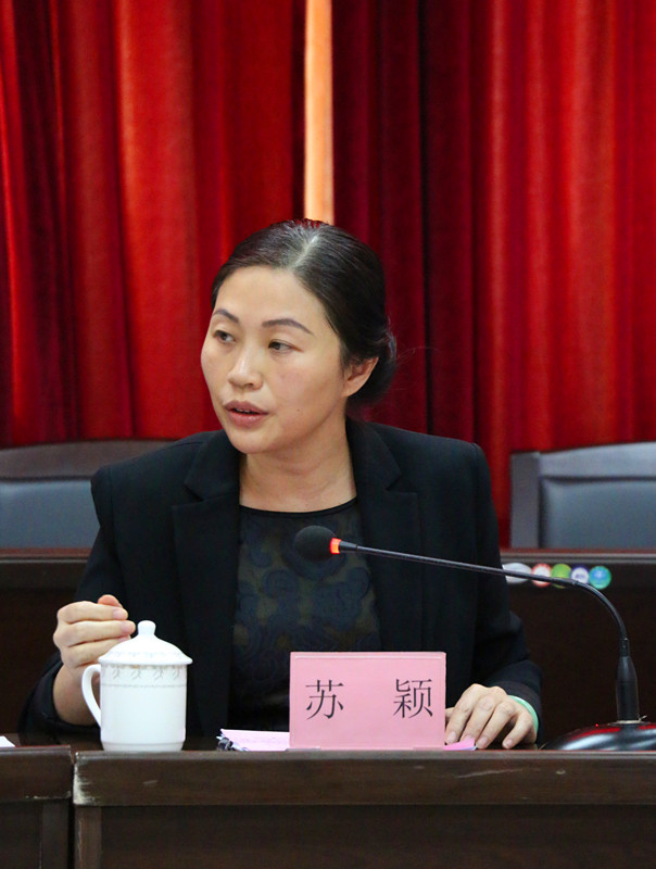 苏颖副市长做重要讲话