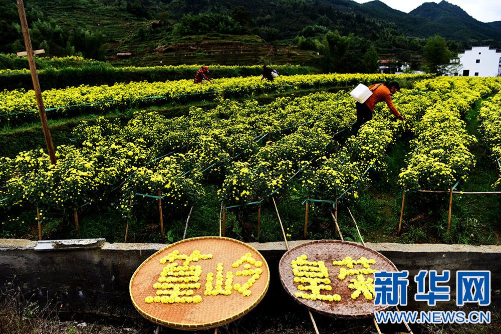 ͼΪشڻʾֲزժʾա