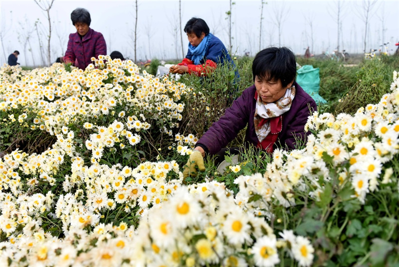 112գںӱʡϺ֥ҩֲزժ׾ա