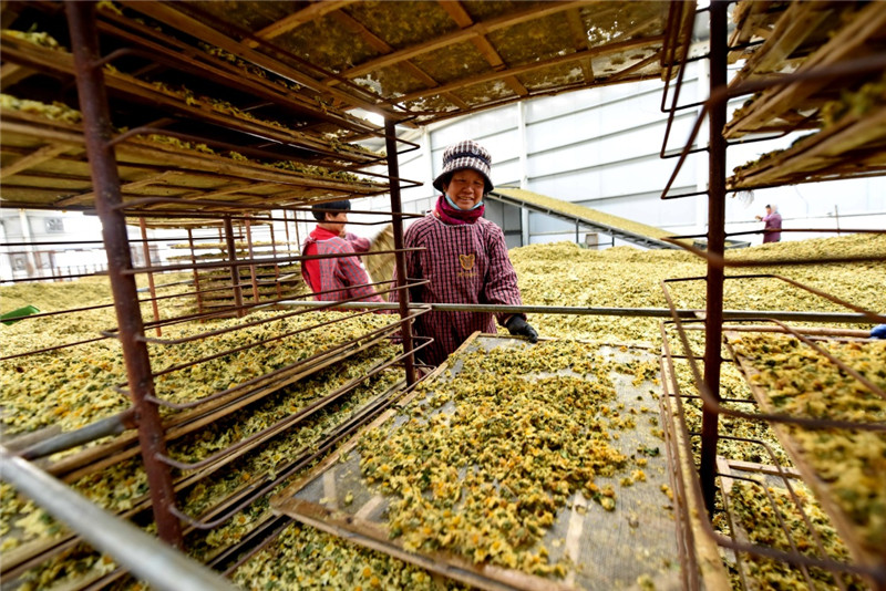 112գںӱʡϺ֥ҩֲغɺ׾ա