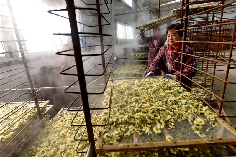 112գںӱʡϺ֥ҩֲغɺ׾ա