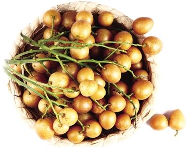 海南海口:品永兴黄皮 享独特风味