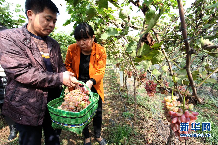 οںʡׯֲרҵڲժѣ112㣩