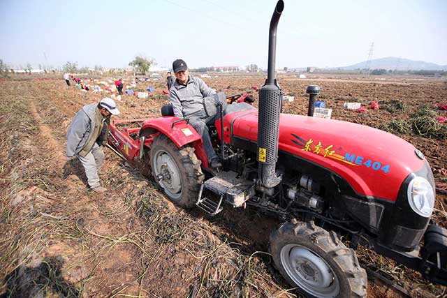 ɽīİٶĶ޹عϷ ۵عϲɷ