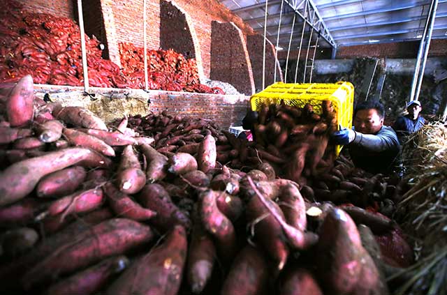 ɽīİٶĶ޹عϷ ۵عϲɷ