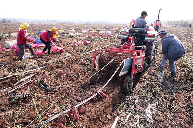 ɽīİٶĶ޹عϷ ۵عϲɷ