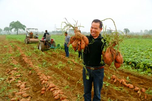 �������꣺����ϲ�����ջ�е�ջ�Ч�ʸ�