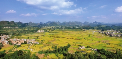 ɽˮ֯塪ִɫũҵʾؼʽ