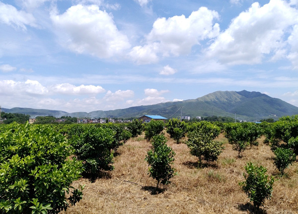 ذɴίתشչɰǽ۲ҵٽƶ